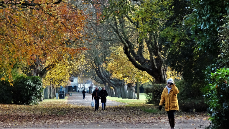 Woman in a park